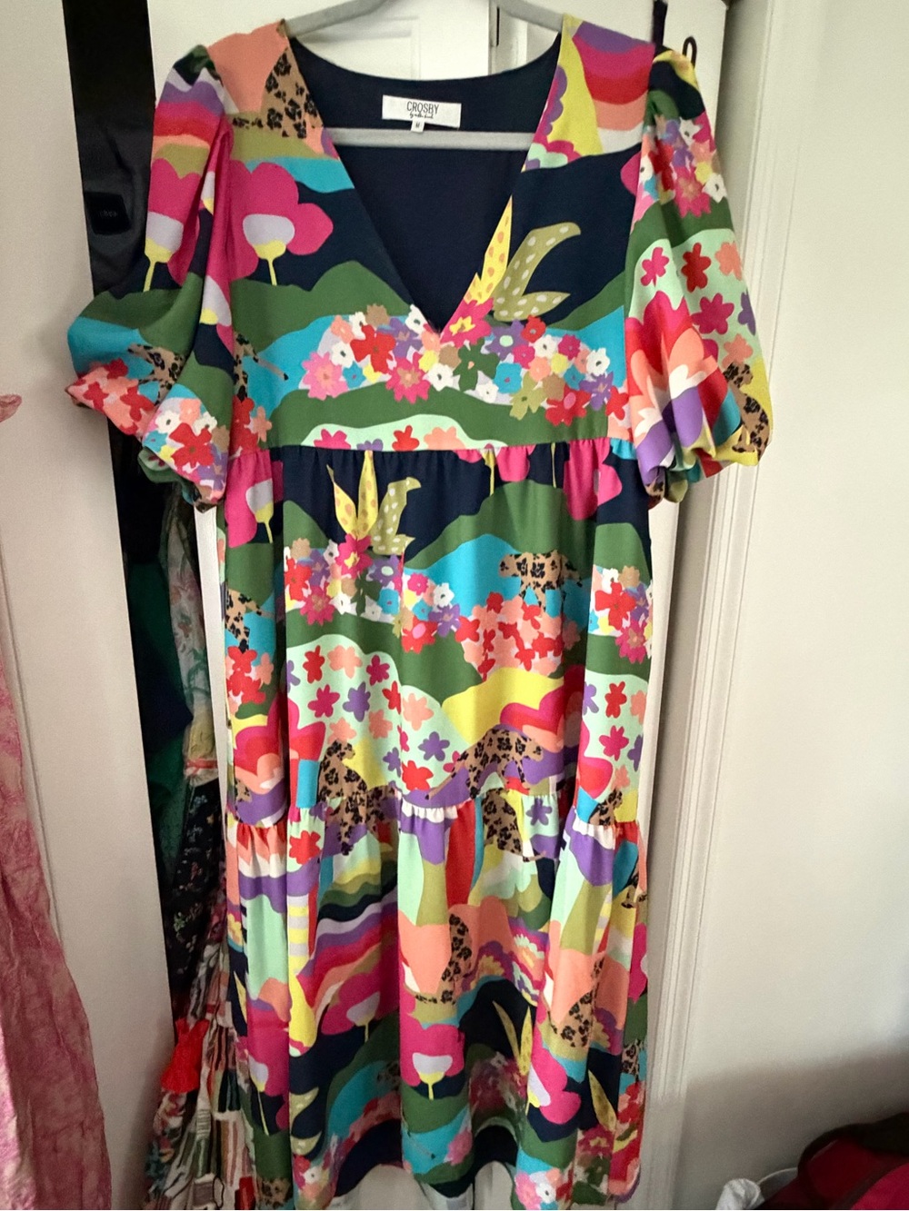 CROSBY by Mollie Burch Multicolor Floral Wave V-Neck Dress